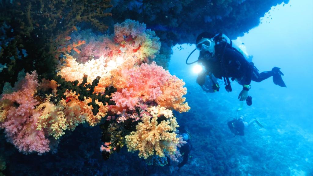 Adaaran Select Hudhuranfushi - mergulho, recife de corais no resort all inclusive nas Ilhas Maldivas