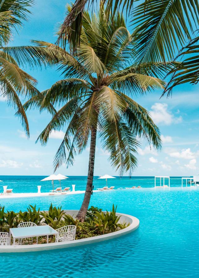 Amilla Maldives Resort and Residences - piscina infinita, água turquesa no resort de luxo nas Ilhas Maldivas