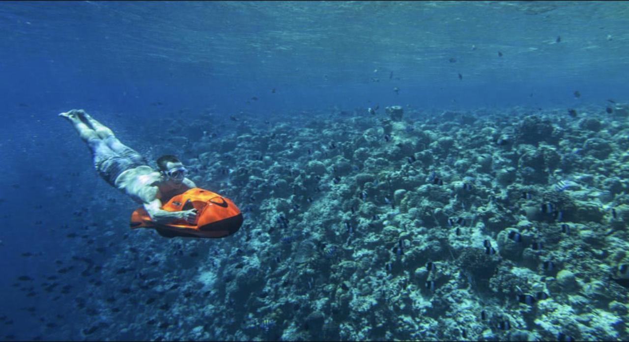 Anantara Kihavah Maldives Villas - mergulho, recife de corais no resort de luxo nas Ilhas Maldivas