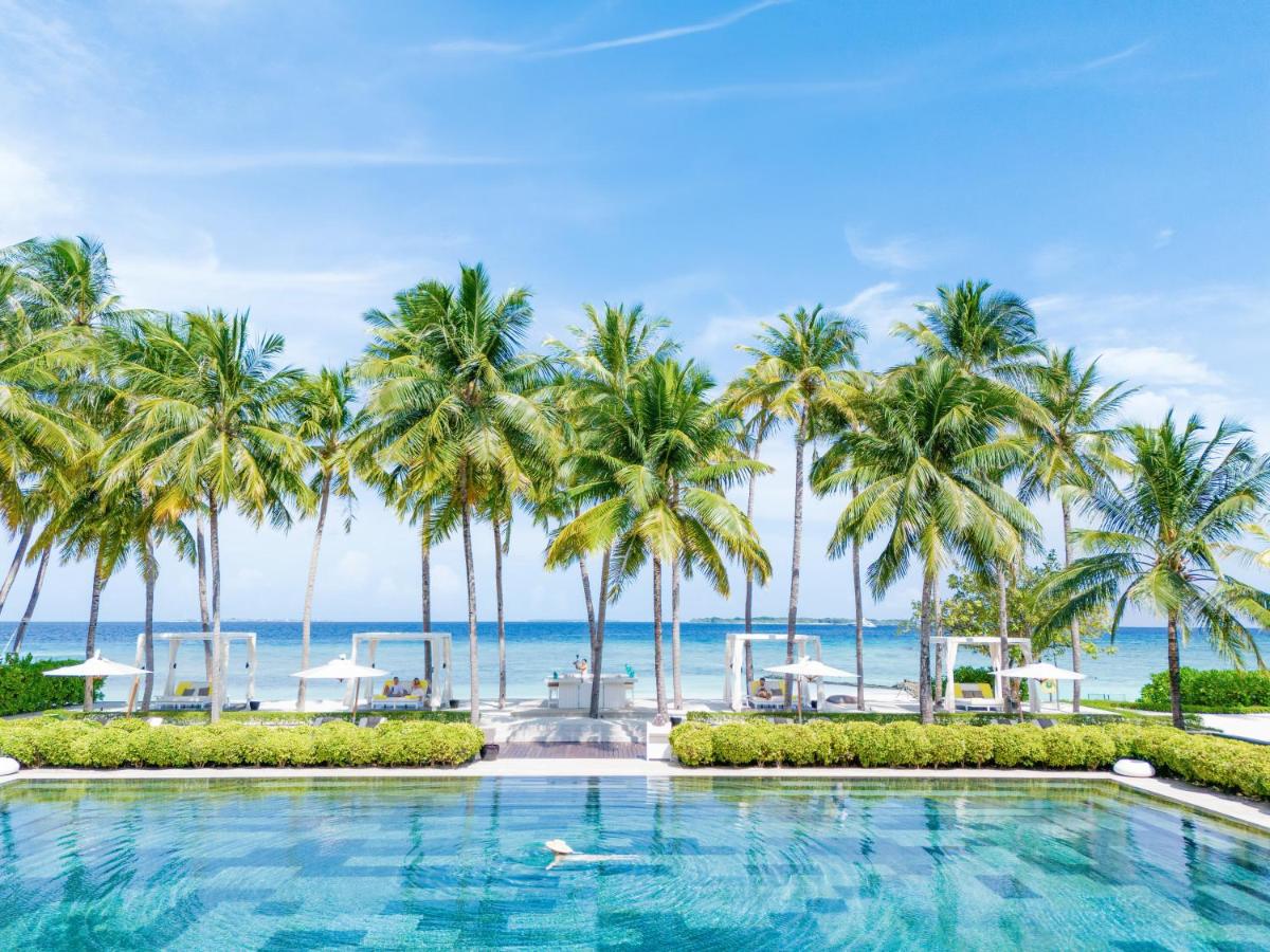 Cheval Blanc Randheli - piscina infinita, palmeiras no resort de luxo nas Ilhas Maldivas