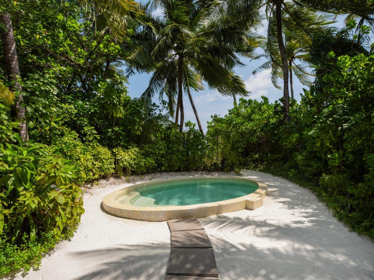 Conrad Maldives Rangali Island - piscina privativa, folhagem tropical no resort de luxo nas Ilhas Maldivas