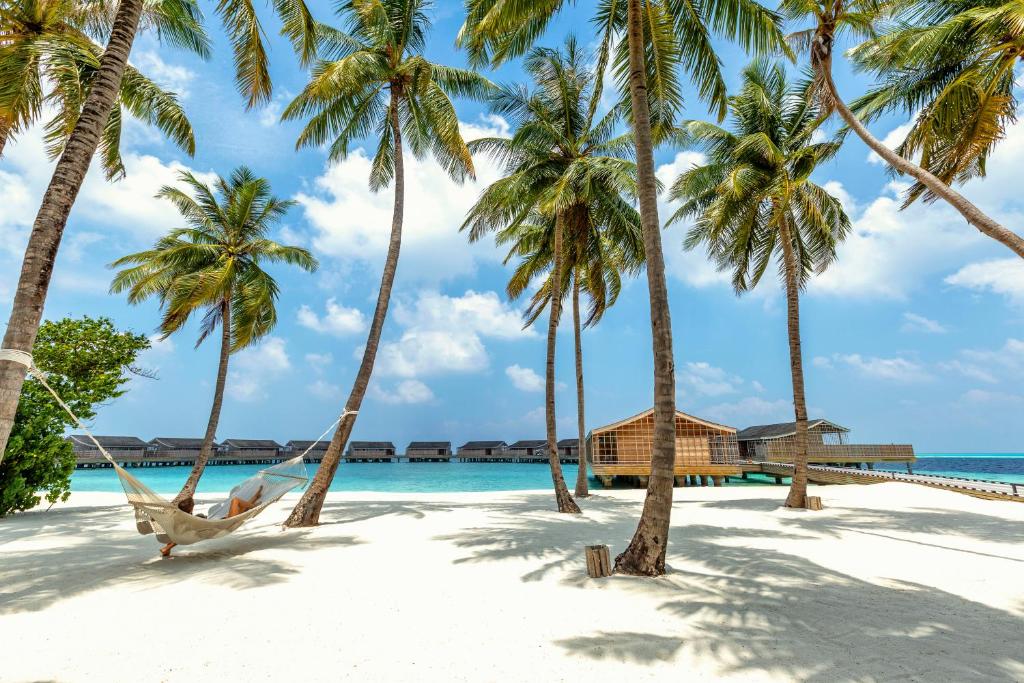 Kudadoo Maldives Private Island - rede, palmeiras no resort de luxo nas Ilhas Maldivas
