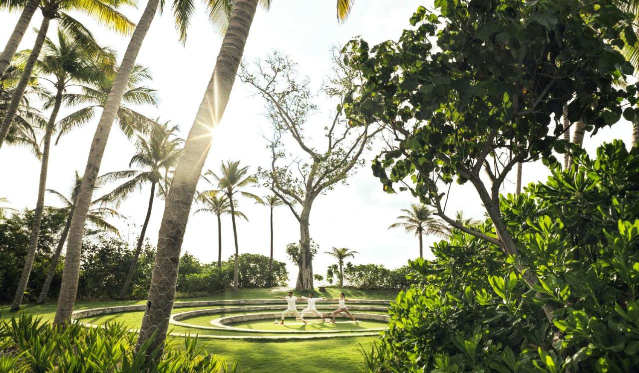 The Ritz-Carlton Maldives, Fari Islands - tropical, palmeiras no resort de luxo nas Ilhas Maldivas