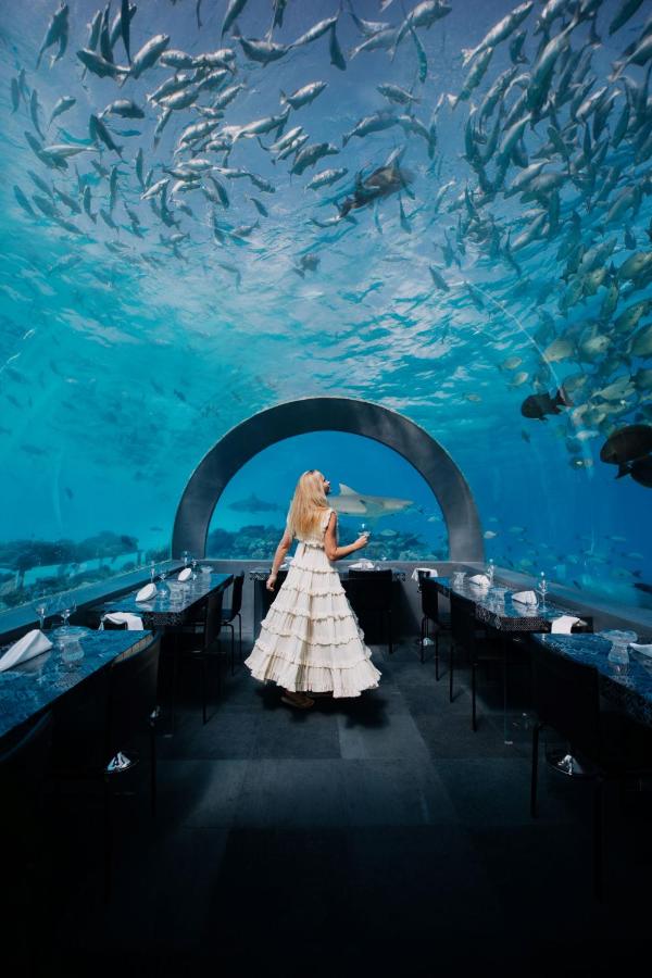 You and Me - subaquático, vida marinha no resort de luxo nas Ilhas Maldivas